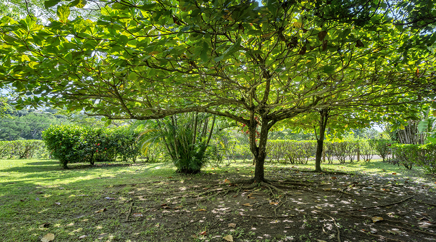 Costa Rica - Puntarenas - Santa Teresa - Las Delicias - Villa - Ext�rieur - Jardin - Vue 4