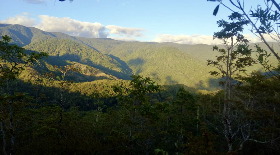 Costa Rica - Tres Colinas - Finca De La Montana - Terrain - Vue Montagnes - Vue 7