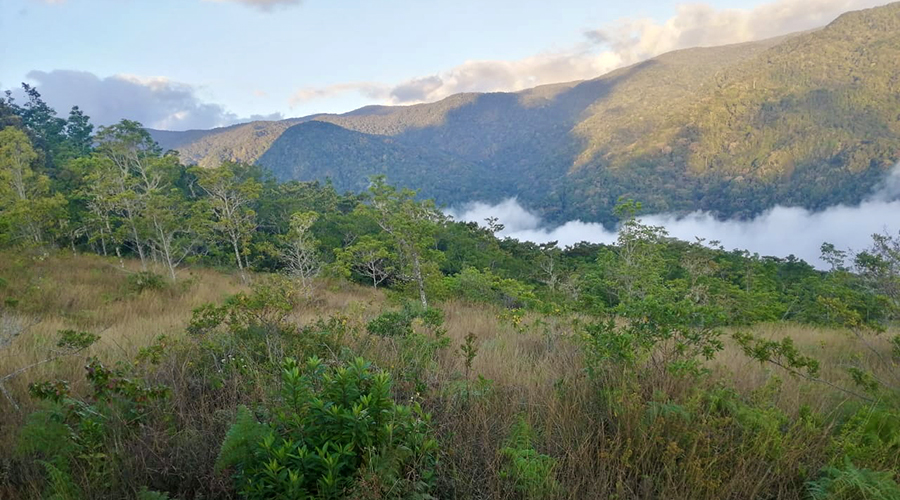 Costa Rica - Tres Colinas - Finca De La Montana - Terrain - Vue Montagnes - Vue 6