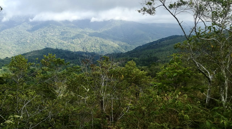 Costa Rica - Tres Colinas - Finca De La Montana - Terrain - Vue Montagnes - Vue 3