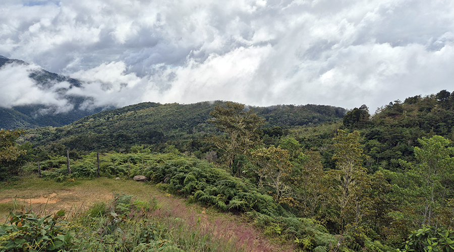 Costa Rica - Tres Colinas - Finca De La Montana - Terrain - Vue Montagnes - Vue 4