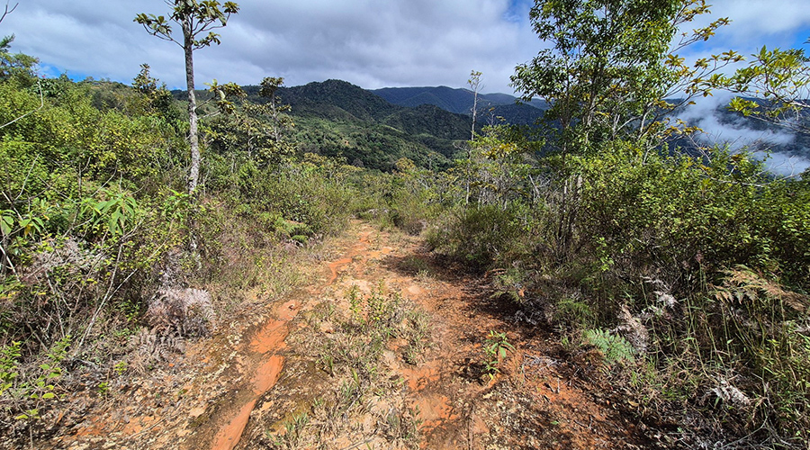 Costa Rica - Tres Colinas - Finca De La Montana - Terrain - Chemin - Vue 2
