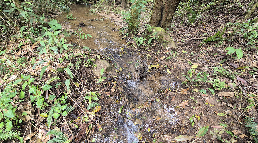 Costa Rica - Tres Colinas - Finca De La Montana - Terrain - Source - Vue 1