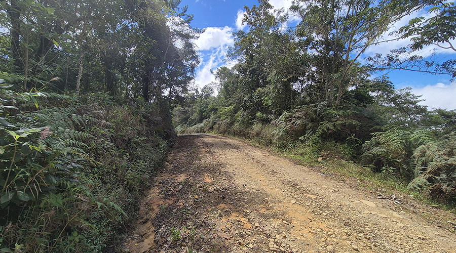 Costa Rica - Tres Colinas - Finca De La Montana - Terrain - Route Publique - Vue 1