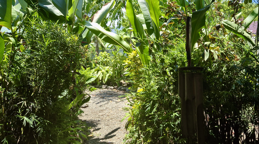 Costa Rica, Province de Puntarenas, Uvita, Maison Balinaise - Jardin 1