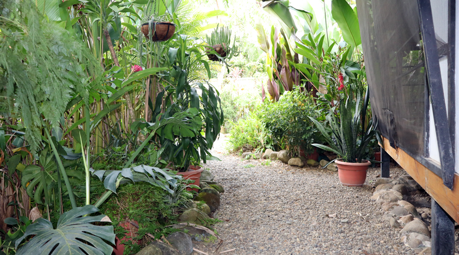 Costa Rica, Province de Puntarenas, Uvita, Maison Balinaise - Jardin 2