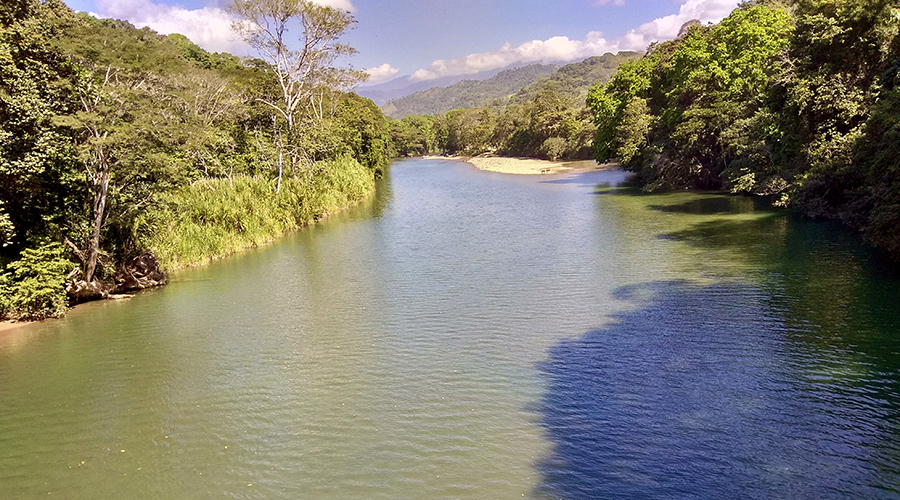 Costa Rica - Perez Zeledon - Finca del Cielo - Fleuve Barucito