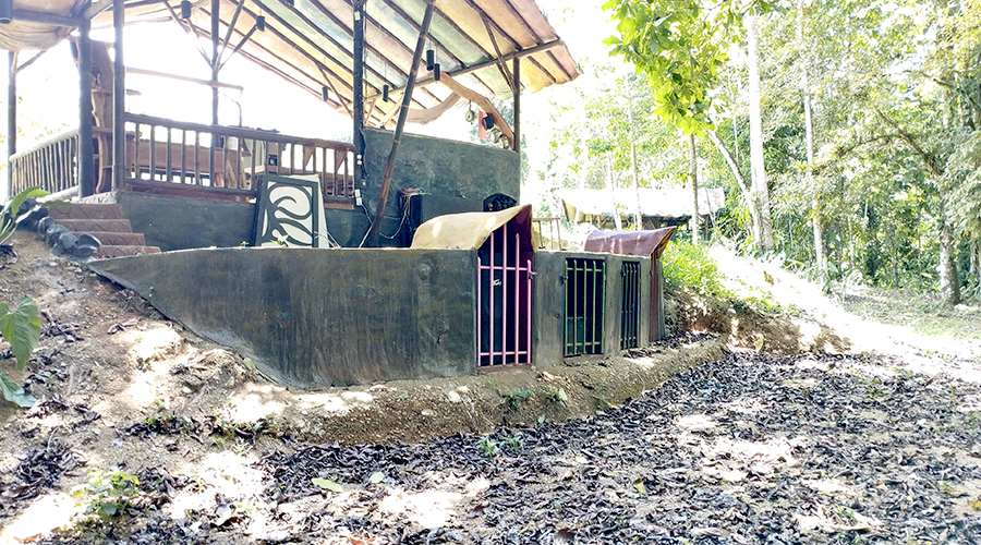 Costa Rica - Perez Zeledon - Finca del Cielo - Glamping - vue 3