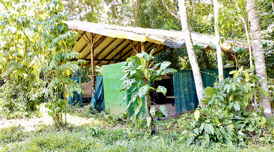 Costa Rica - Perez Zeledon - Finca del Cielo - Glamping - vue 5