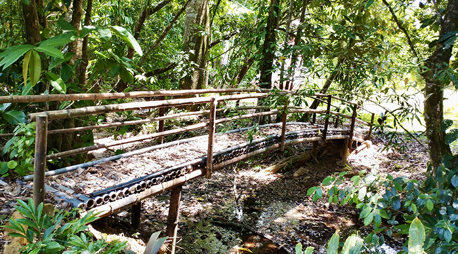 Costa Rica - Osa - Perez Zeledon - Finca del Cielo - Pont