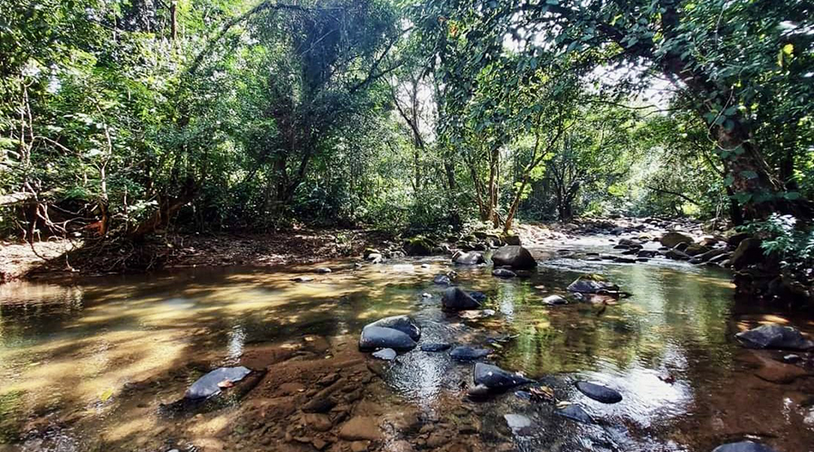 Costa Rica - Osa - Perez Zeledon - Finca del Cielo - Rivire - vue 2