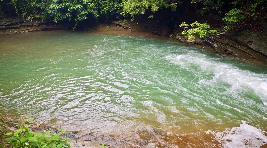 Costa Rica - Osa - Perez Zeledon - Finca del Cielo - Rivire de sparation - vue 2