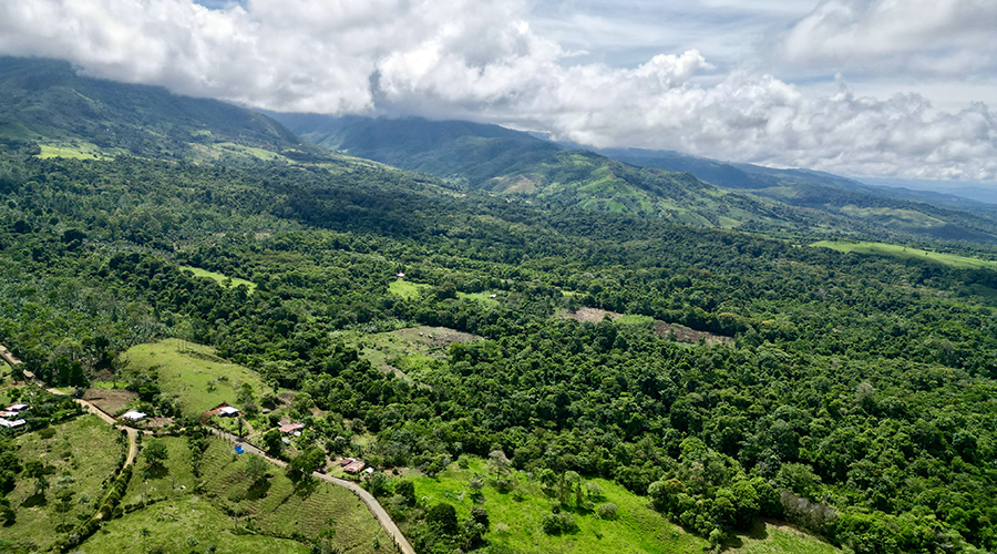 Costa Rica, San Isidro, San Pedro - Finca Porras - Vue drone - Les alentours - vue 1