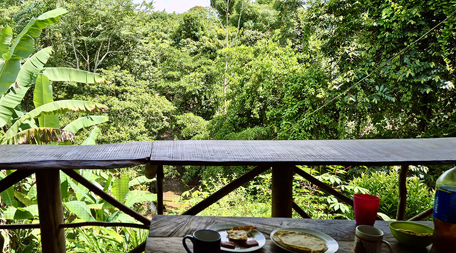 Costa Rica, San Isidro, San Pedro - Finca Porras - La maisonnette - La terrasse - vue 1