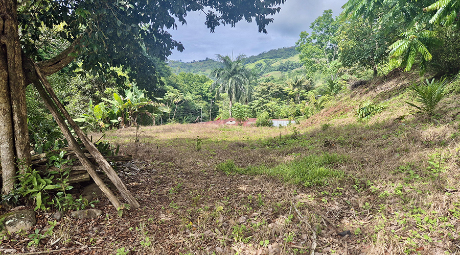 Costa Rica - San Jos - La Palma - Casa Rustica - Maison - Extrieur - Terrain Avant - Vue 1