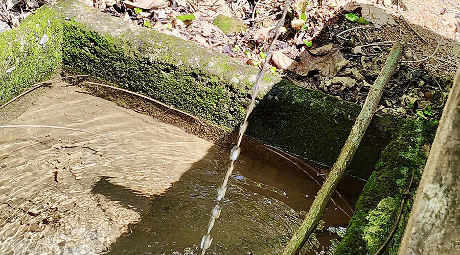 Costa Rica - San Jos� - Miravalles - Ferme de Caf� Organique - Source Eau - Vue 1