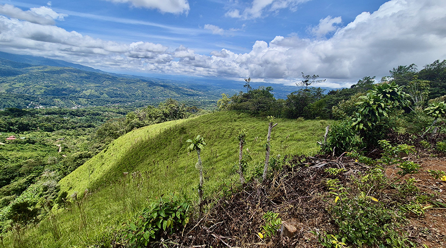 Costa Rica - San Jos� - Miravalles - Ferme de Caf� Organique - Panorama - Vue 3