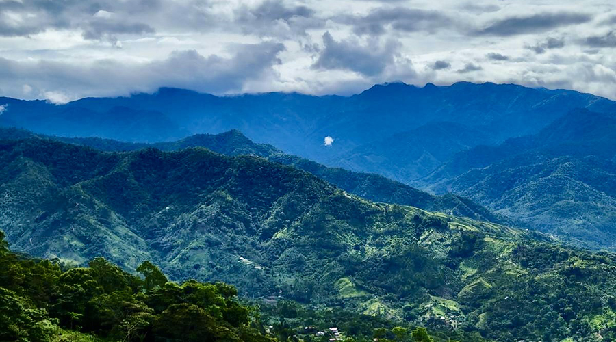 Costa Rica - San Jos� - Miravalles - Ferme de Caf� Organique - Panorama - Vue 4