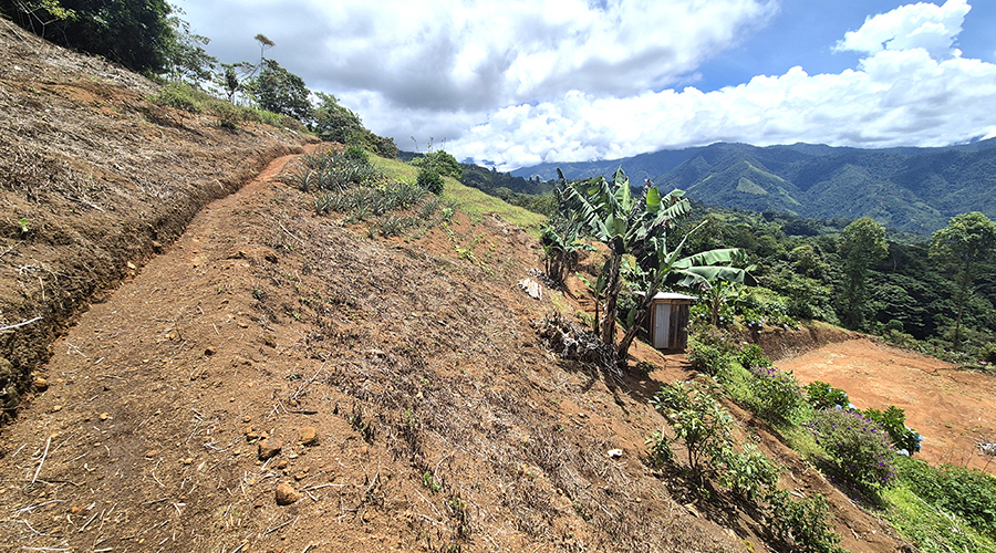 Costa Rica - San Jos� - Miravalles - Finquita Verde - Ext�rieur - Sentier - Vue 1
