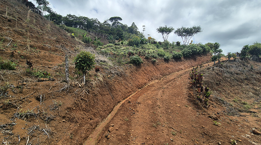 Costa Rica - San Jos� - Miravalles - Finquita Verde - Ext�rieur - Sentier - Vue 3