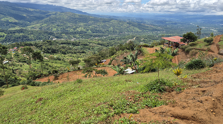 Costa Rica - San Jos� - Miravalles - Finquita Verde - Ext�rieur - Vue 2