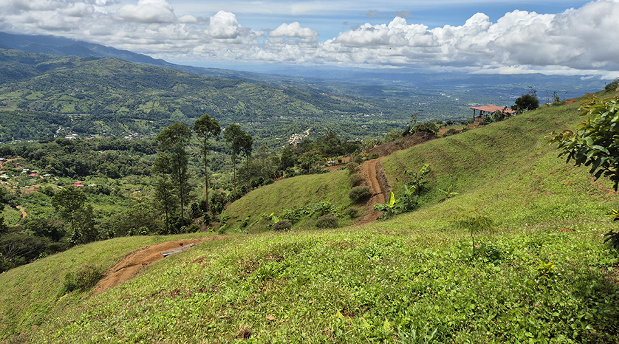 Costa Rica - San Jos� - Miravalles - Finquita Verde - Ext�rieur - Vue 3