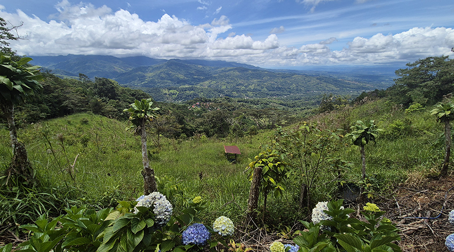 Costa Rica - San Jos� - Miravalles - Finquita Verde - Ext�rieur - Vue 4