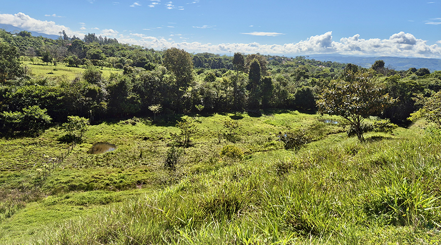 Costa Rica - San Jos? - Paraiso - Finquita Paraiso - Terrain - Vue 2