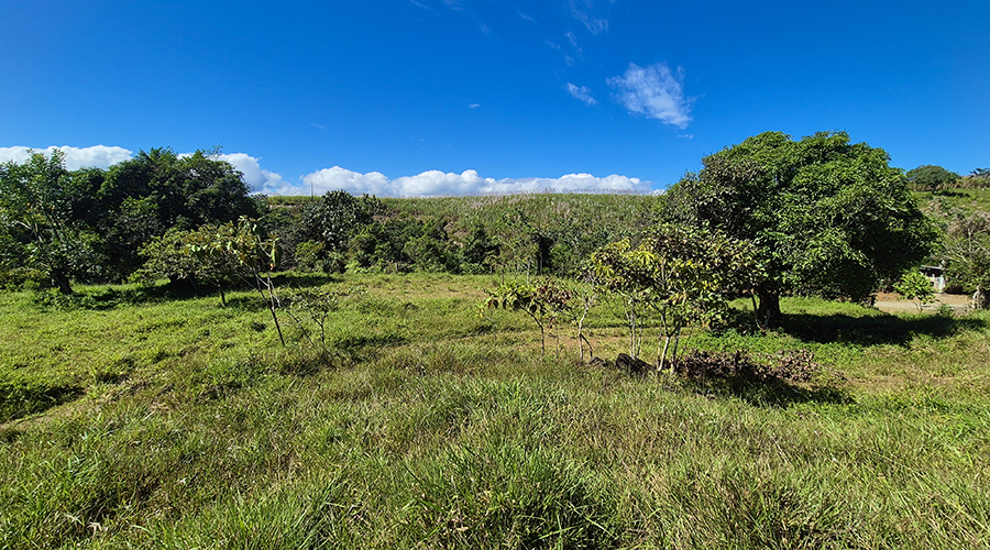 Costa Rica - San Jos? - Paraiso - Finquita Paraiso - Terrain - Vue 3