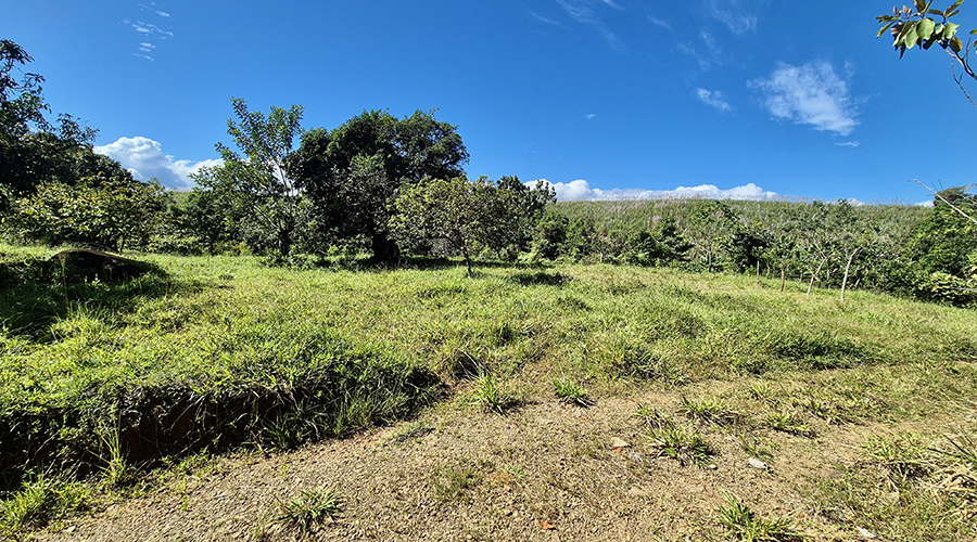 Costa Rica - San Jos? - Paraiso - Finquita Paraiso - Terrain - Vue 4
