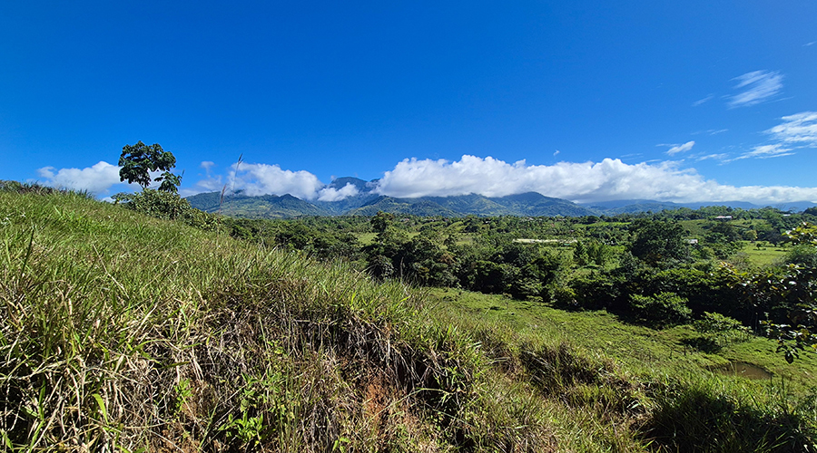 Costa Rica - San Jos? - Paraiso - Finquita Paraiso - Terrain - Vue 5