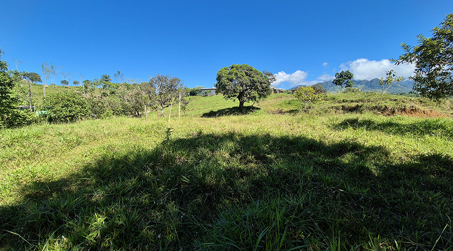 Costa Rica - San Jos? - Paraiso - Finquita Paraiso - Terrain - Vue 6