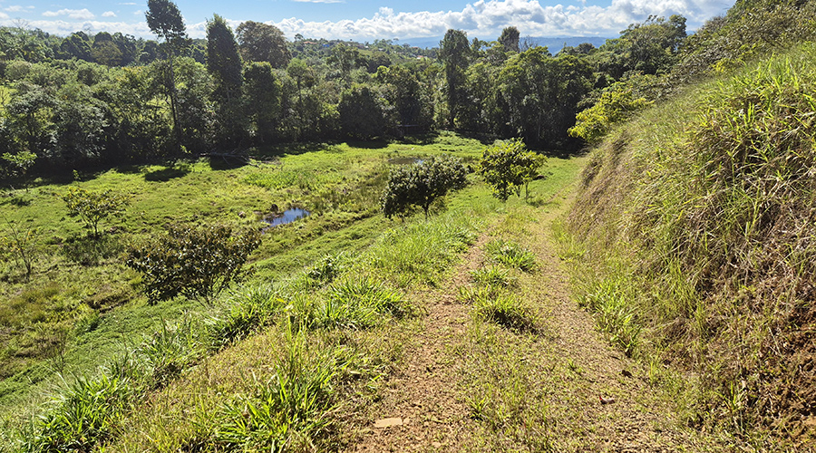 Costa Rica - San Jos? - Paraiso - Finquita Paraiso - Terrain - Vue 7