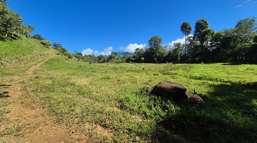 Costa Rica - San Jos? - Paraiso - Finquita Paraiso - Terrain - Vue 8