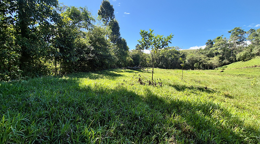 Costa Rica - San Jos? - Paraiso - Finquita Paraiso - Terrain - Vue 10