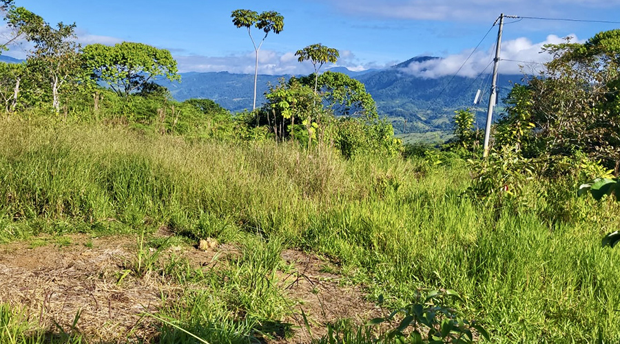 Costa Rica - Platanillo - Terrain Organique - Vue Montagne - Vue 2