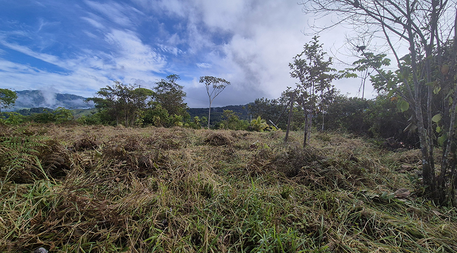 Costa Rica - Platanillo - Terrain Organique - Vue Montagne - Vue 3