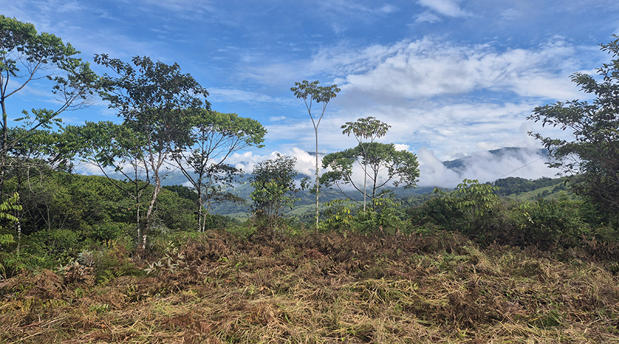 Costa Rica - Platanillo - Terrain Organique - Vue Montagne - Vue 4