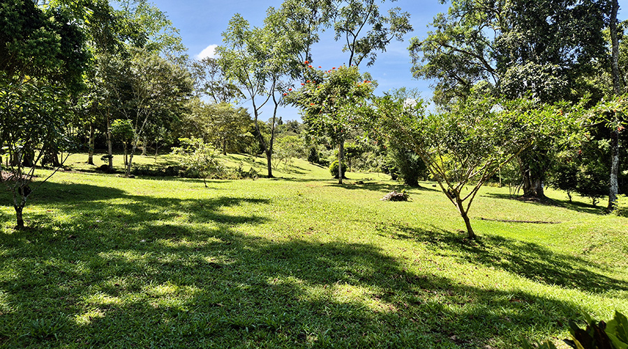 Costa Rica - San Jos� - Quebradas - Casa Julio - Maison - Ext�rieur - Jardin - Vue 1