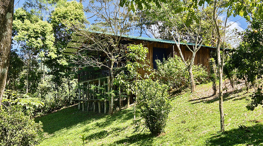 Costa Rica - San Jos� - Quebradas - Casa Susana - Maison - Ext�rieur - Vue 1