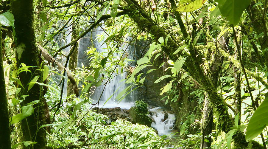 Costa Rica - San Jos� - San Isidro - Finquita Azul - Terrain - Cascade - Vue 2