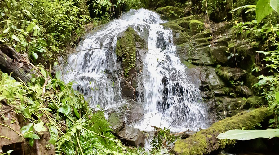 Costa Rica - San Jos� - San Isidro - Finquita Azul - Terrain - Cascade - Vue 3