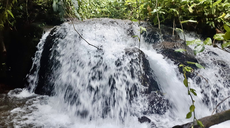 Costa Rica - San Jos? - San Isidro - Finquita Azul - Terrain - Cascade - Vue 4