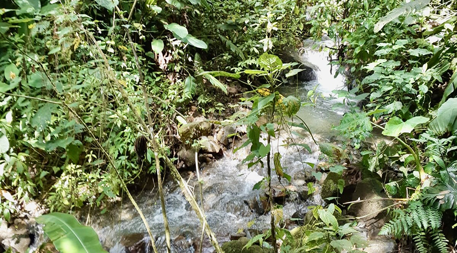 Costa Rica - San Jos? - San Isidro - Finquita Azul - Terrain - Rivi?re - Vue 1
