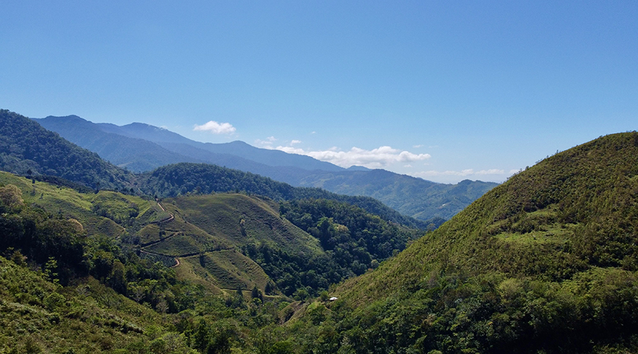 Costa Rica - San Jos� - San Isidro - Finquita Azul - Terrain - Panorama - Vue 1