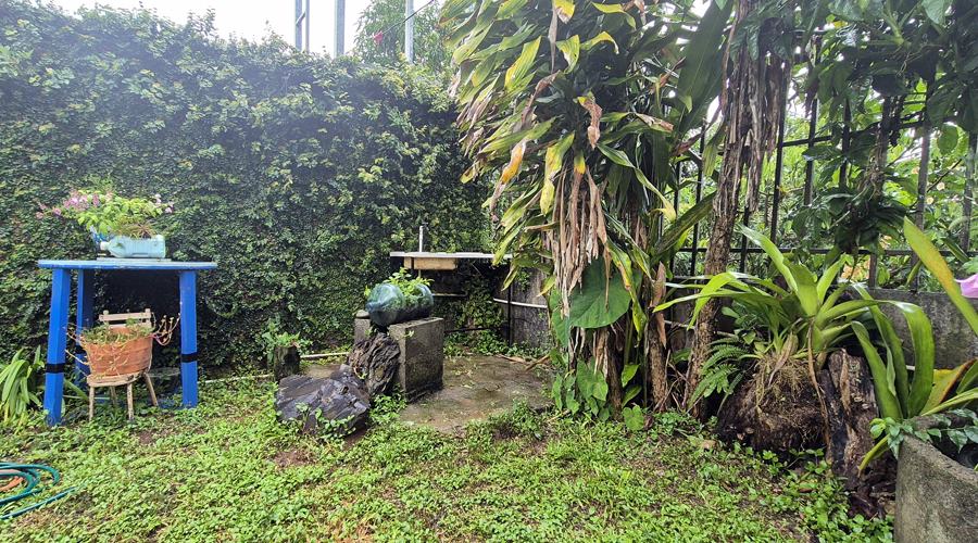 Costa Rica, Pacifique Sud - San Isidro de El General - Casa Las Brisas - Jardin - vue 1