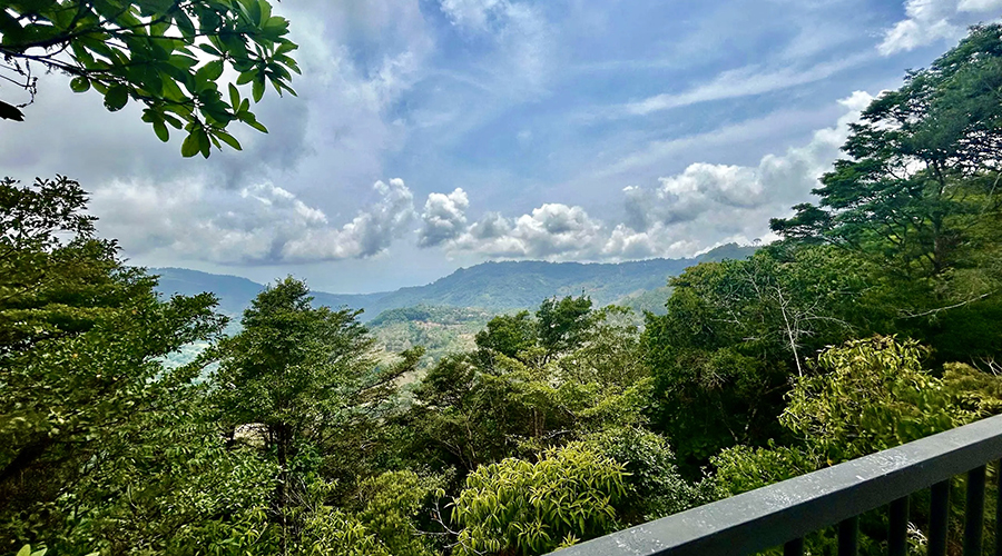 Costa Rica - Perez Zeledon - San Isidro - Casita Morete - Alentours - vue 2