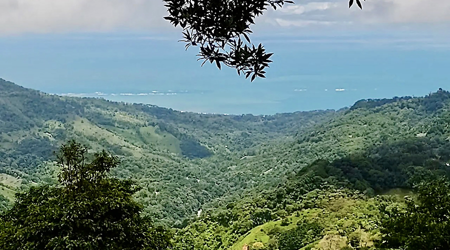 Costa Rica - Perez Zeledon - San Isidro - Casita Morete - Alentours - vue 3 (MER)