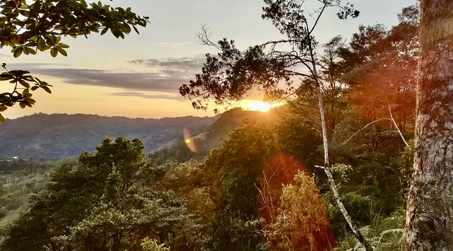 Costa Rica - Perez Zeledon - San Isidro - Casita Morete - Alentours - vue 4
