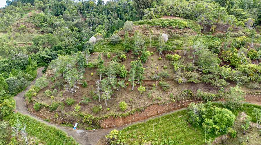 Costa Rica - San Jos? - San Miguel - Las 5 terrazas - Routes Internes - Vue 1